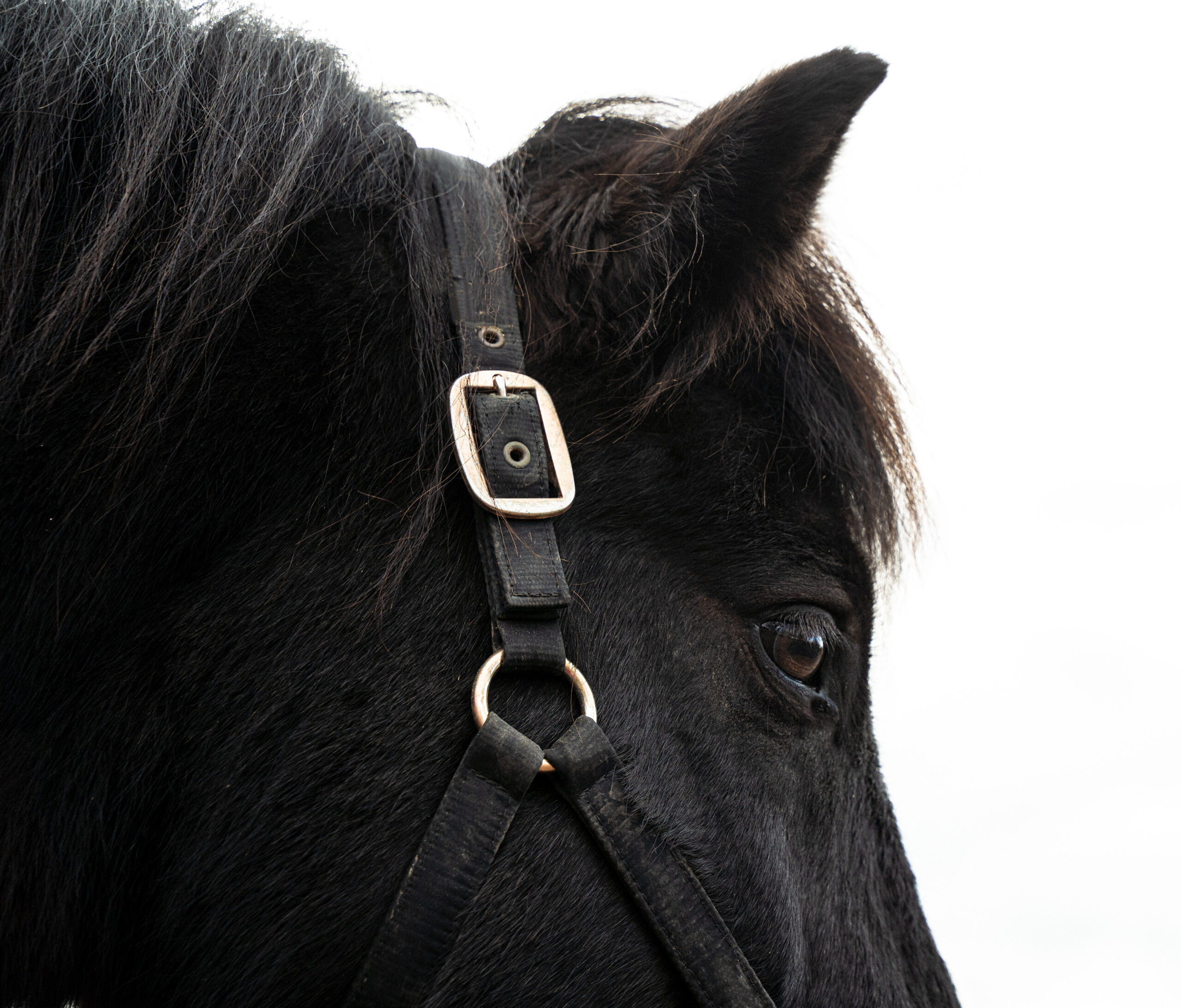 DSC02272bearb