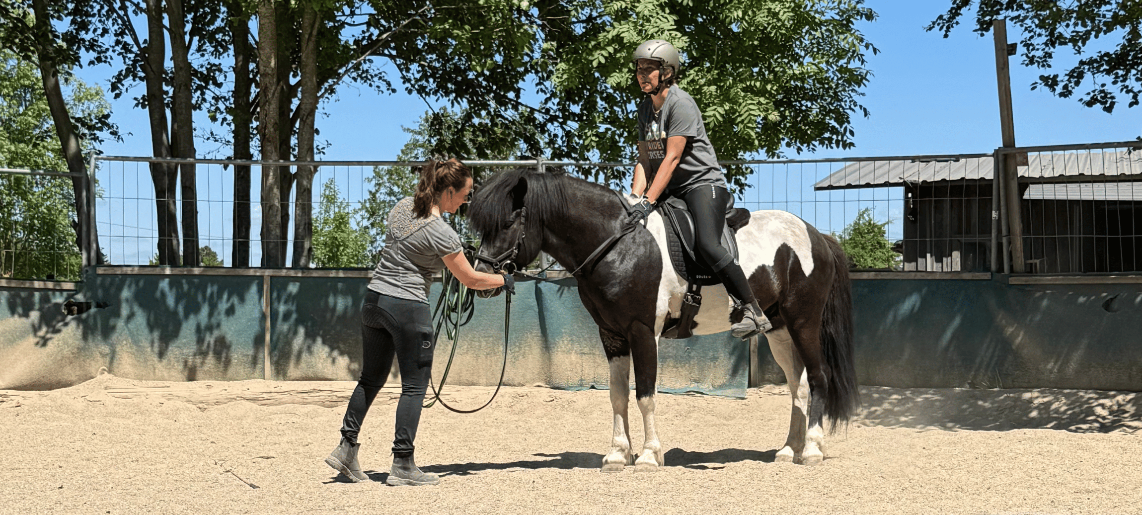 pferd vorstellung pferd vorstellung